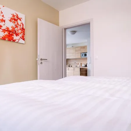 Apartmán Aura VI By Mountain Ways Boží Dar Exteriér fotografie